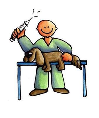 veterinario
