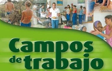 CAMPOS DE TRABAJO