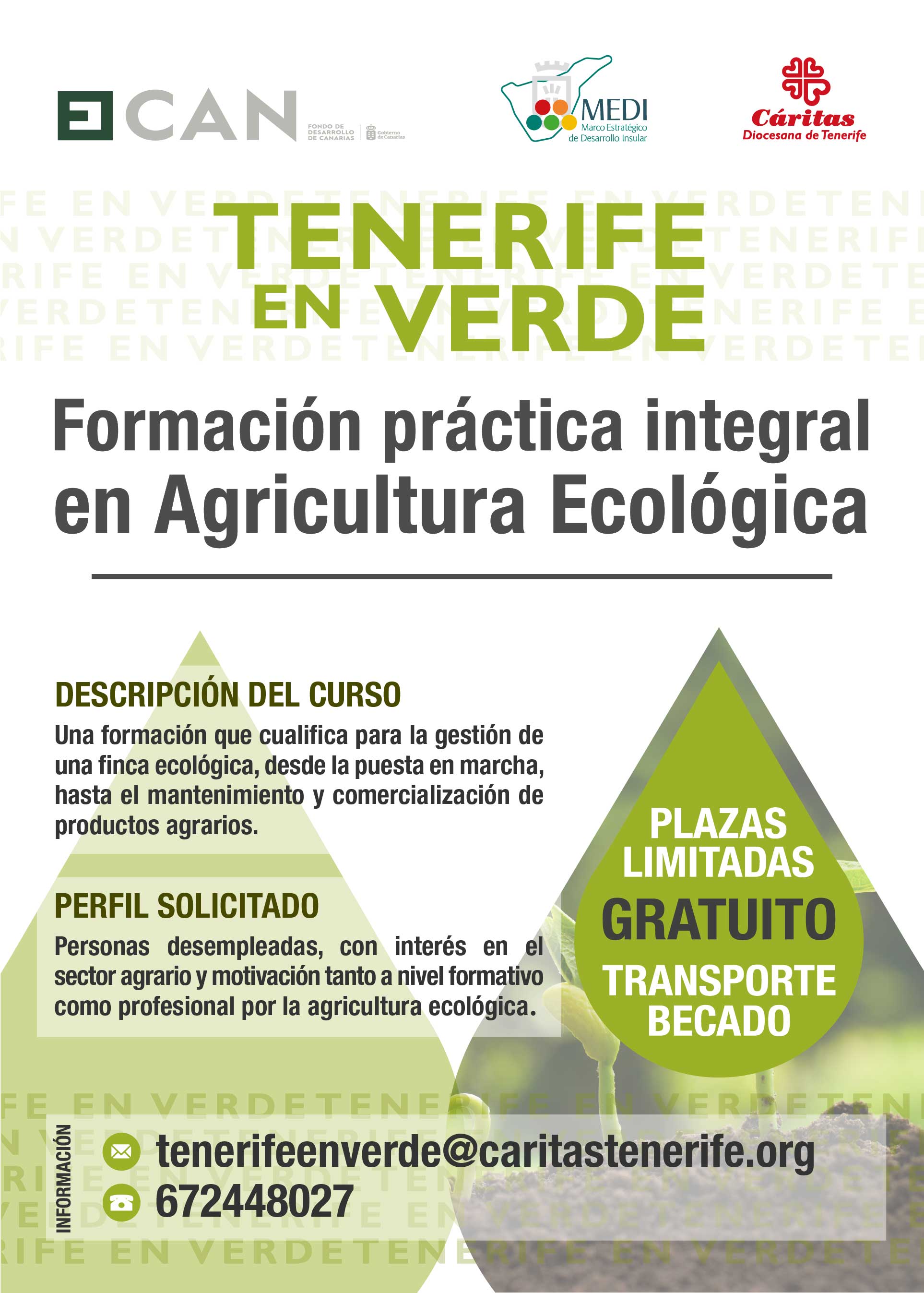 Cartel "Tenerife en Verde"